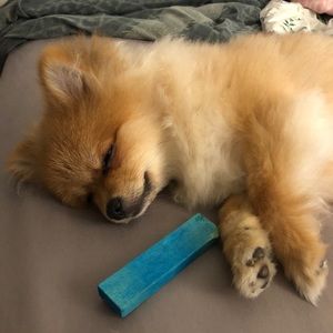 Meet your Posher, Connie